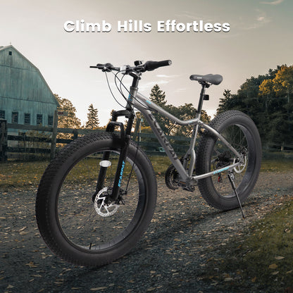 China Manufacturer 26 Inch 21speed Cheap Full Suspension Fat Mountain Bicycle Front Suspension Bike with Fat Tire for Snow Sand