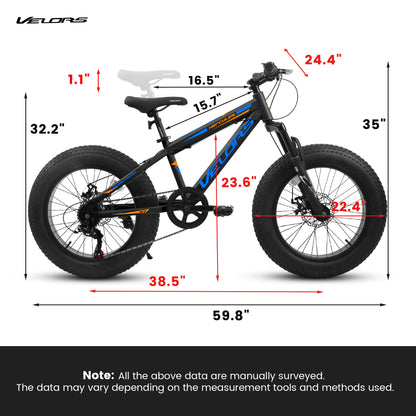 V20235 20 Inch Fat Tire Bike 7 Speed Mountain Bike, Dual Disc Brakes, High Carbon Steel Frame, Front Suspension, Mountain Buggy, City Commuter City Bike, Fat Tire Bike