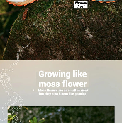 361 Degrees Yushan PRO Men Running Shoes Durable Hiking Cushioning Breathable Non-slip Outdoor Jogging Male Sneakers 672522250