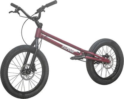 20 inch climbing street bike cycling play exercise upgrade