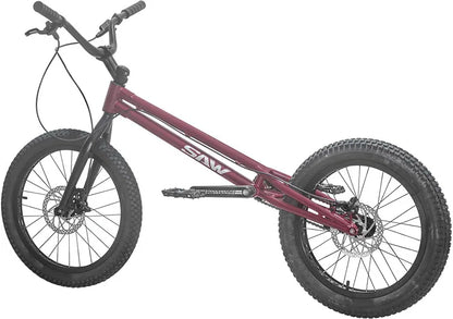 20 inch climbing street bike cycling play exercise upgrade