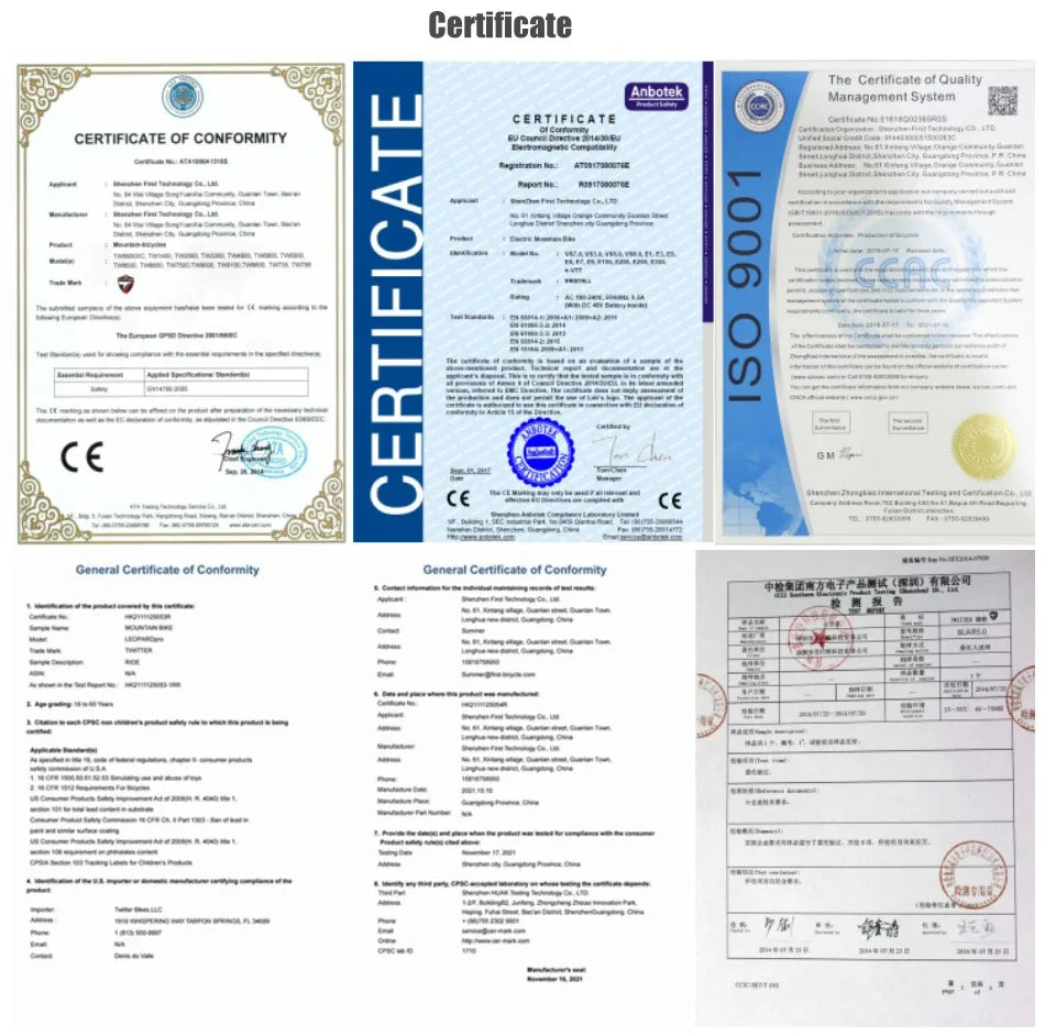 TWITTER CYCLONE Carbon Wheel Road Bike 2X12S SENSAH Derailleur Adult Men's Carbon Hydr Disc Bicycle With Inner-Cables Routing