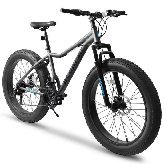 China Manufacturer 26 Inch 21speed Cheap Full Suspension Fat Mountain Bicycle Front Suspension Bike with Fat Tire for Snow Sand