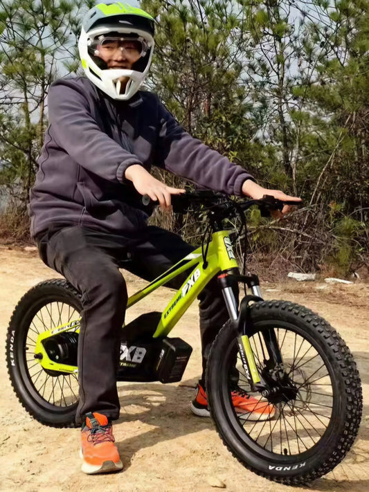 800W 20" 10Ah 36V toy bike balance scooter off road mini motorcycle B20 Pro Cross(Notice:This model,can't be sent to Poland)