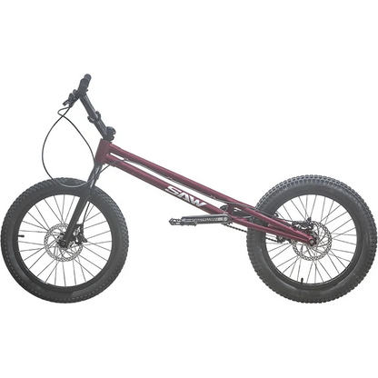 20 inch climbing street bike cycling play exercise upgrade