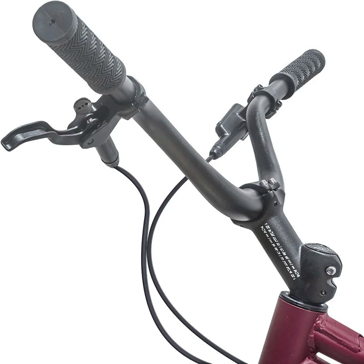 20 inch climbing street bike cycling play exercise upgrade