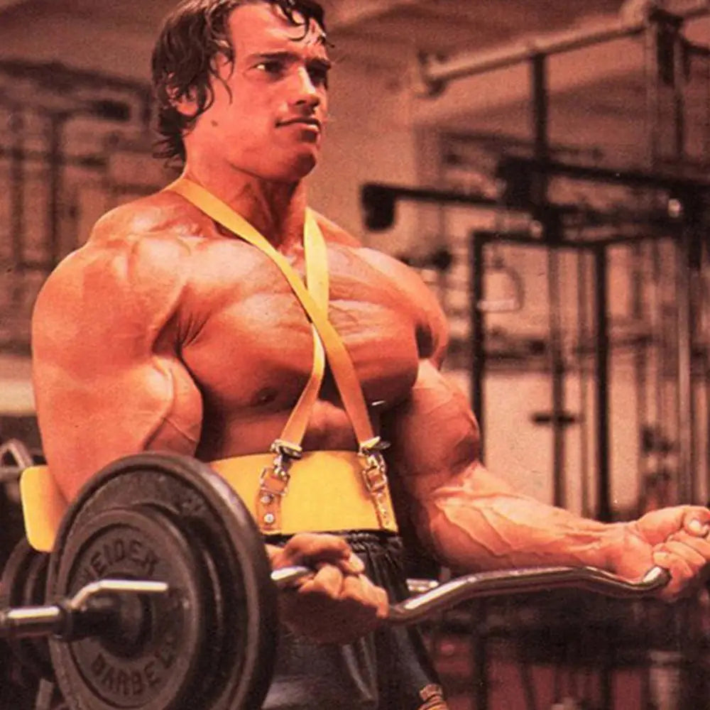 Premium ArmAdjustable Bodybuilding Biceps Bomber Curl Support Straps Training Accessory