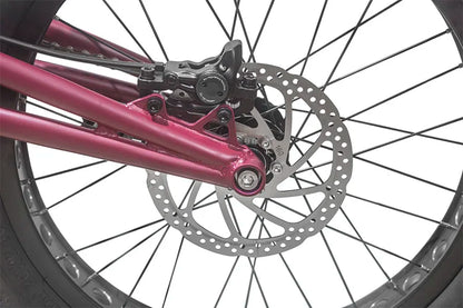 20 inch climbing street bike cycling play exercise upgrade