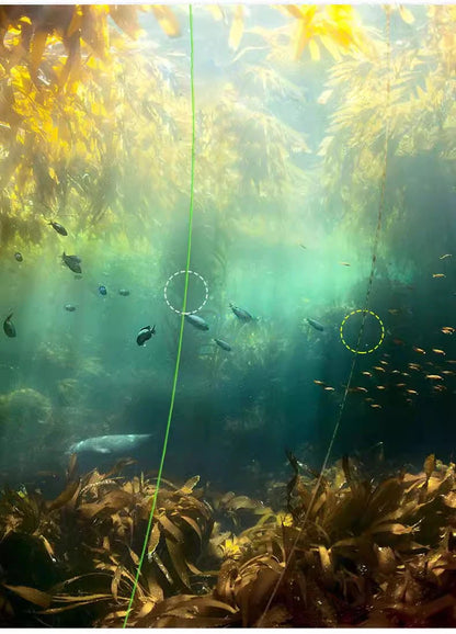 100M  Carp Green Nylon Fishing Line Super Strong Monofilament line Japanese Material Saltwater Carp Fishing leader line